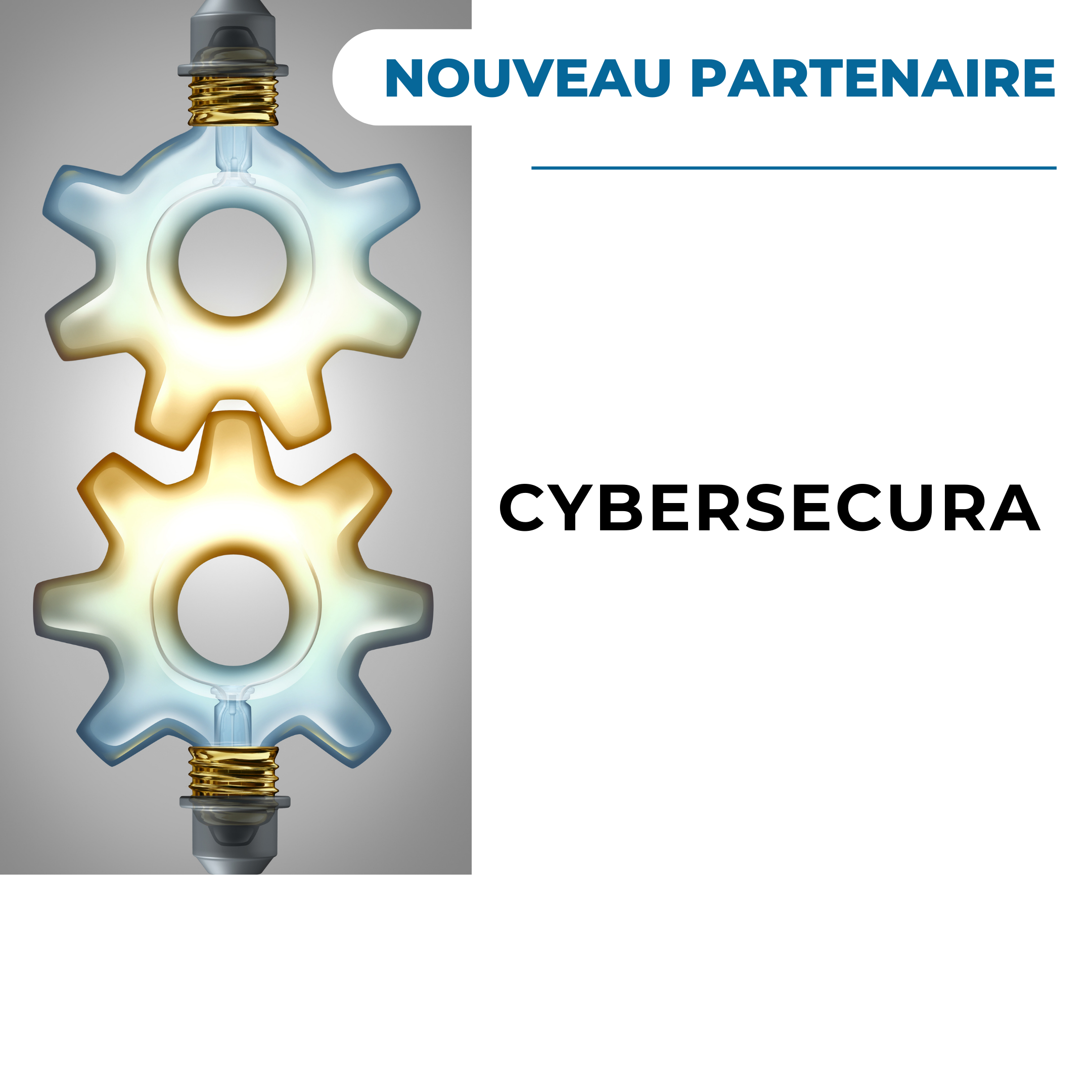 extellient & cybersecura